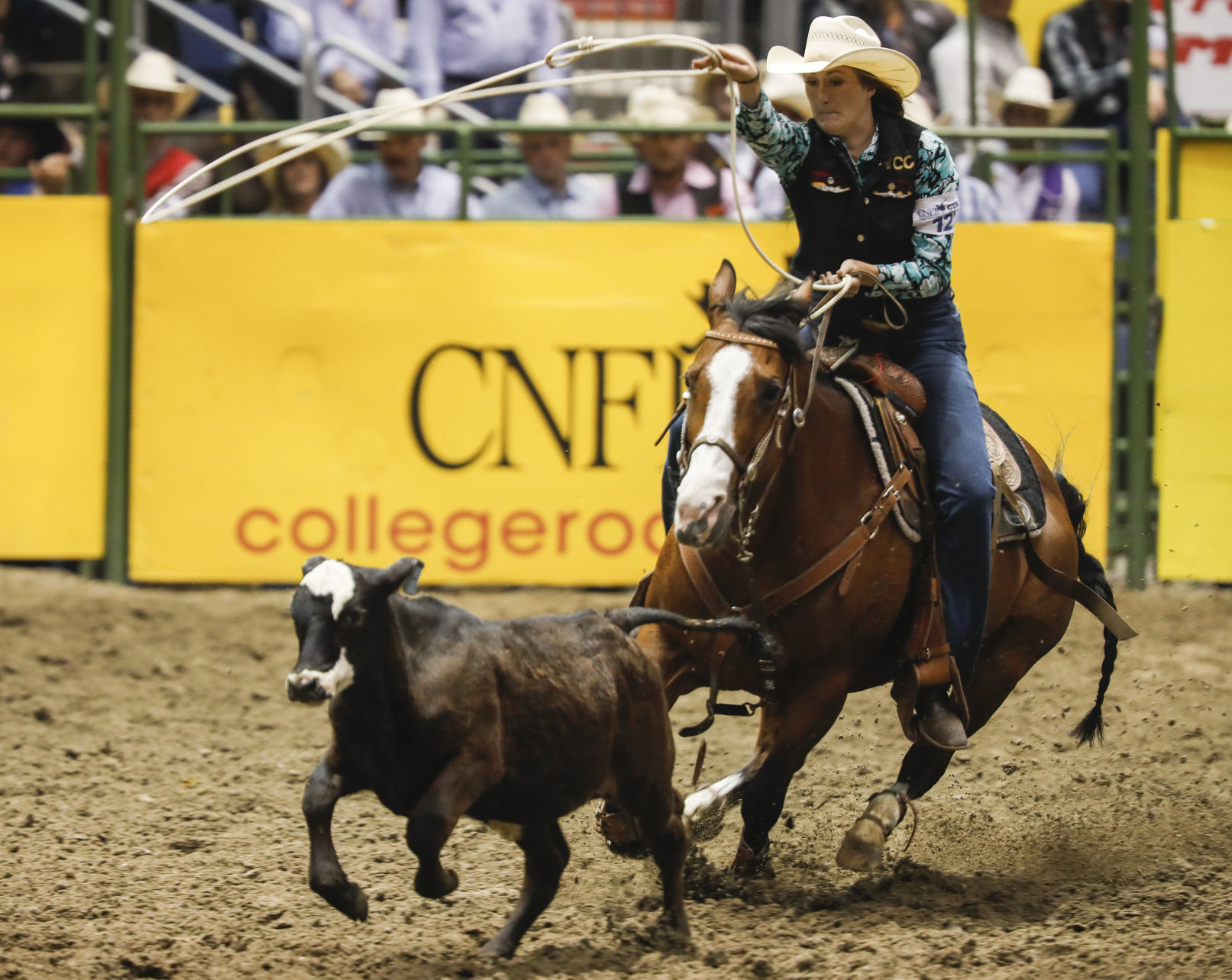 CNFR - Thursday